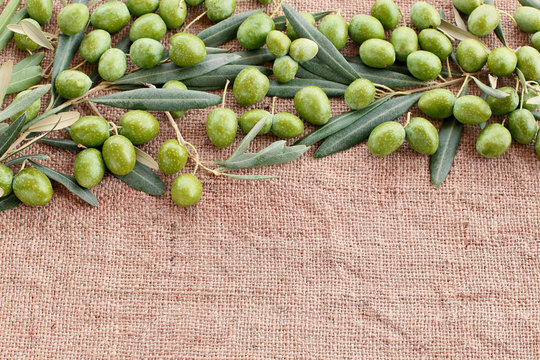 olives with leaves on burlap