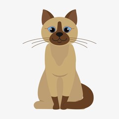 Cat vector illustration