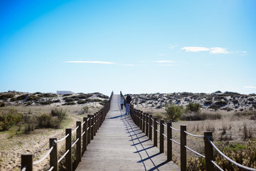 Wooden bridge path with sand dunes landscape over sunny sky outdoors background