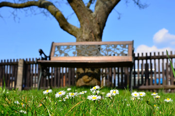 Gartenbank im Frühling © rlang