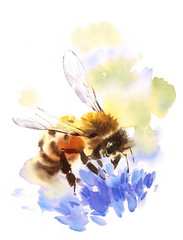 Watercolor Honey Bee on Blue Flower Hand Painted Summer Illustration  - 137706878