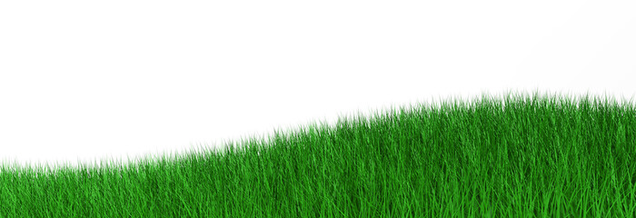 3d illustration green grass