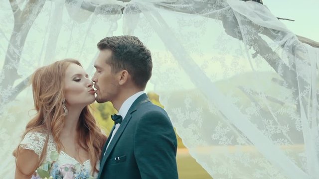 Bride and groom kissing under the arch of the trunks of trees, decorated white veil, in a field with green. Tender and romantic feelings of the couple.