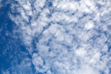 Sky panoramic and fancy curly clouds. Heavenly background in a highly patterned top. Free space atmospheric flight and freedom. 