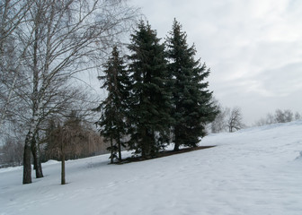 Зимний пейзаж