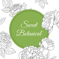Sweet botanical peony rose flowers black and white vector sketch outline illustration. Fresh green round circle with text placeholder. Idea for sale promotion or product packaging.
