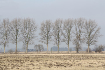 Marschlandschaft im Winter © Maren Konitzer