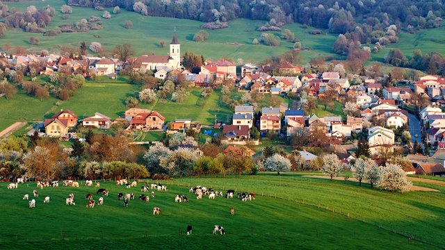 Spring landscape in Slovakia. Rural countryside in Polana region. Fields and meadows with blooming cherries