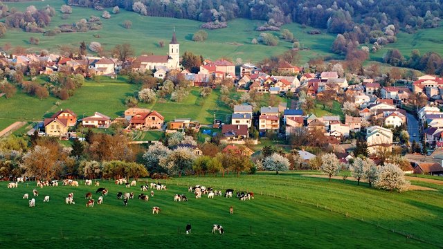 Spring landscape in Slovakia. Rural countryside in Polana region. Fields and meadows with blooming cherries