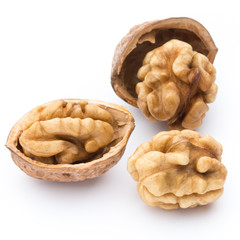 Walnut and walnut kernel isolated on the white background.