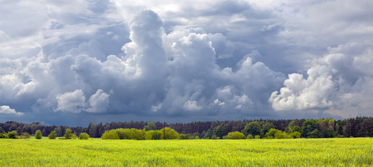 First spring storm over green wheat field. Agriculture and weather in Czech Republic. Panoramic...