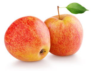 Pair of ripe red yellow apple fruits with green leaf isolated on white background