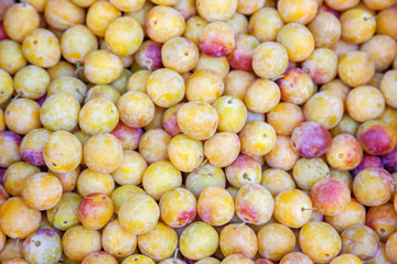 Mirabelle plums