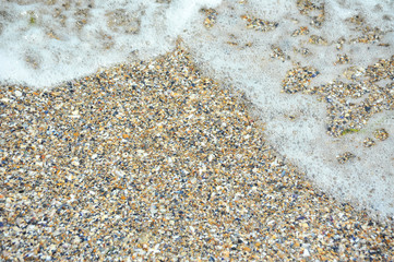 Sea surf and shell