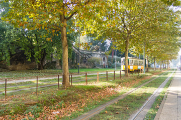 Obraz premium Tram tracks in perspective. Autumn season