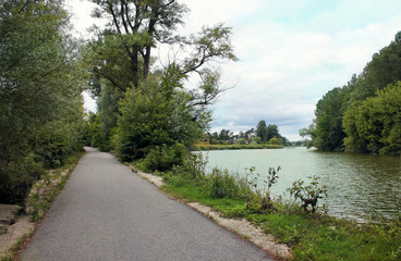 Fluss Landschaft Österreich - Weg entlang der Donau - Klosterneuburg / Kritzendorf - Wald, Bäume,...