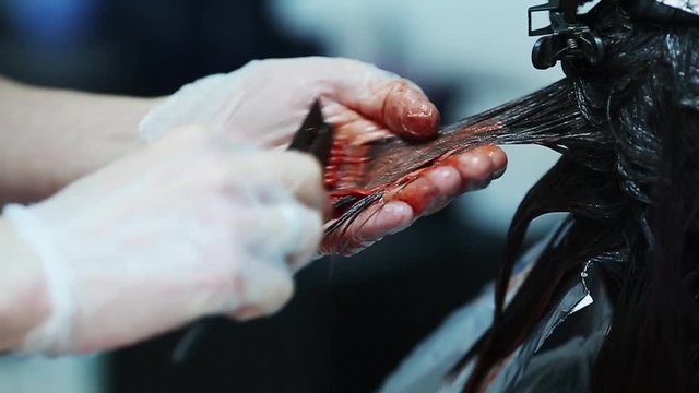 Professional hair color in the beauty studio.