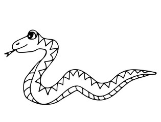 Fototapeta premium Cute snake isolated on the white background
