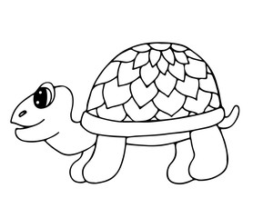 Cute tortoise isolated on the white background