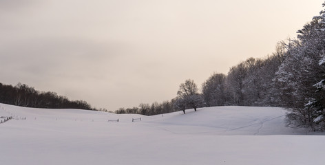 rural farm field in winter
