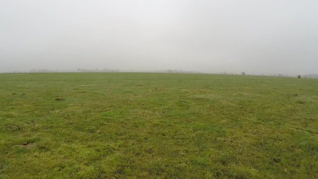 Aerial flying very low over foggy misty grassland under half a meter altitude showing mist in background low visibility great and stable flight over green grass landscape scenery during winter 4k