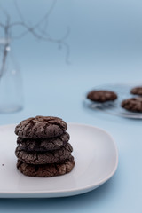 Chocolate biscuits