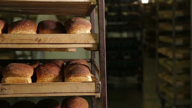 Working in a bakery. Trays with freshly baked bread at the bakery on the truck in the foreground. In the background, bakery workers in white uniforms piled bread trays. The background is blurred.
