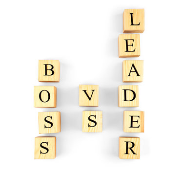 Towers of wooden cubes with text BOSS VS LEADER isolated on white