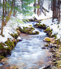 nature in springtime when the snow is melting. scenery, landscape at the beginning of the spring...
