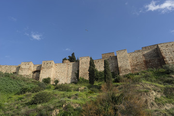 Fototapeta na wymiar murallas de la alcazaba árabe de Málaga, monumentos de Andalucía
