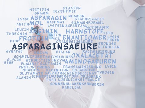 Asparagins&auml;ure