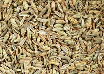 fennel seed macro