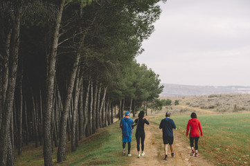 A group of athletes running in the forest.