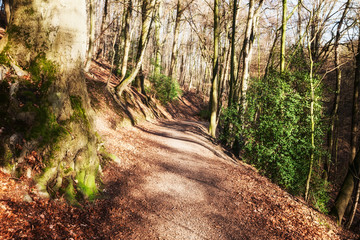 Hill path