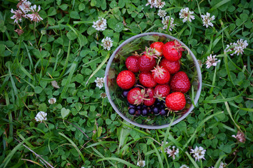 Bowl with red strawberries on a background of green clover
