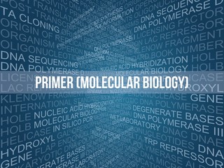 Primer (molecular biology)