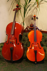 Fototapeta na wymiar large and small Cello