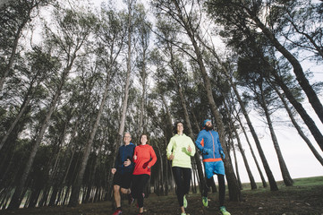 A group of athletes running in the forest.