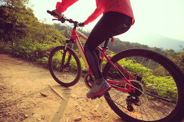Fototapeta na wymiar young woman cyclist riding mountain bike on forest trail
