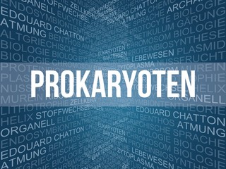 Prokaryoten