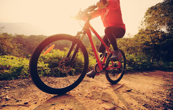 young woman cyclist riding mountain bike on forest trail