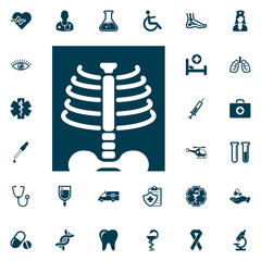 X-ray symbol. Roentgen icon, medical set on white background. Health Care Vector illustration