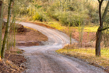 Fototapeta premium Hiking trail through the Thuringian Forest