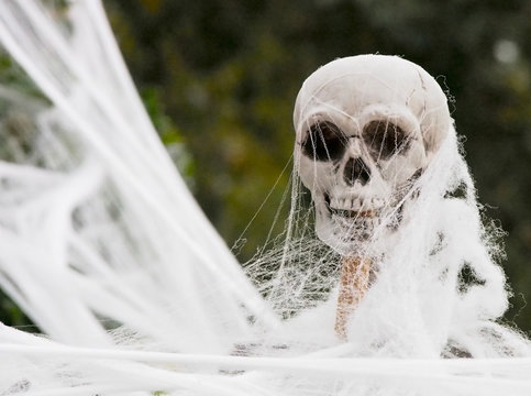 Plastic Skeleton Covered in Fake Web for Halloween Decoration