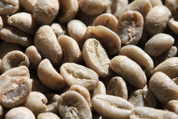 green coffee beans