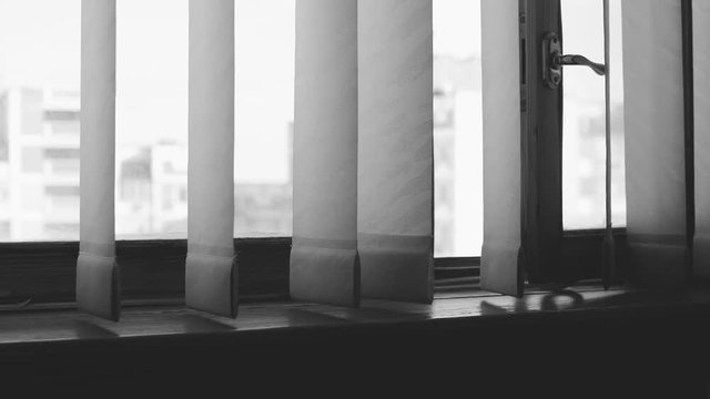 open window and the wind. vertical blinds in the room swaying in the wind