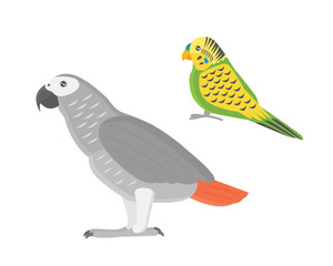 Cartoon tropical parrot wild animal bird vector illustration.