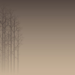 Vector Illustration Of A Hazy Forest Silhouette