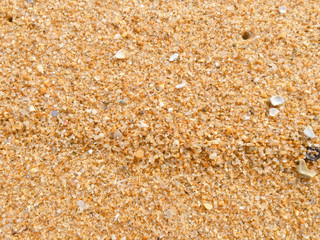 Abstract natural sandy beach closeup, seacoast background. Space surface for text