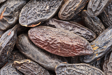 tonka beans